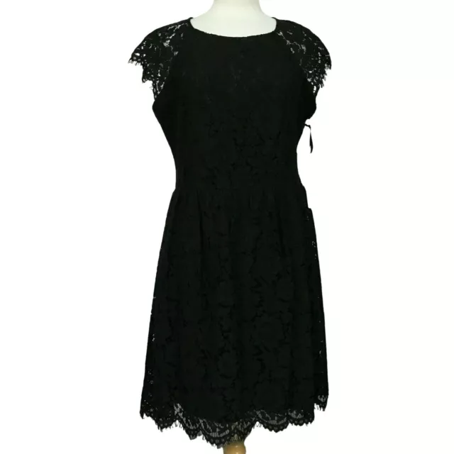 Kensie Sz 14 Little Black Lace Dress Cap Sleeves Scalloped Edges LBD Lined NEW