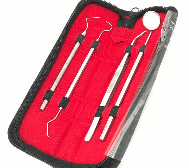 Sonde Dentistiche Esploratrici In Acciaio Inox - Set Di 5 Per Rimuovere Tartaro E Placca (per Igienista O Uso Domestico)