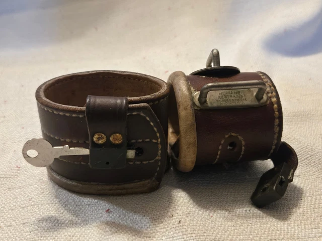 Slightly Unusual, Weird Stuff, Collectables - PicClick AU