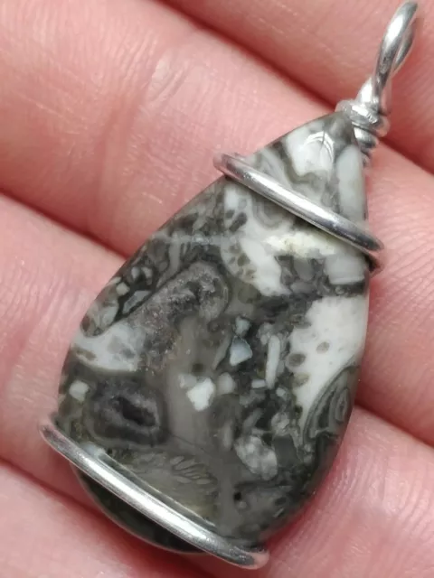 Crinoid Fossil pendant natural grey teardrop stone crystal mineral handmade