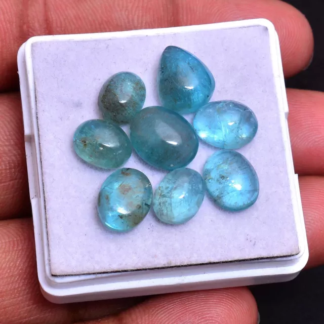 8 Pcs Natural Apatite Untreated 9mm-11mm Cabochon Huge Size Loose Gemstones Lot