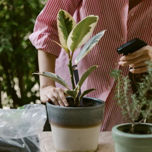 200 Pcs Bodenmontage Gartenbewässerungssystem Tropfbewässerungszubehör Werkzeug