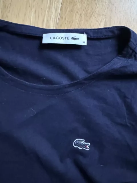 Lacoste GAP Benetton Only Esprit Zara 13 Shirts Neuwertig XS S