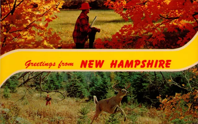 Postcard Greetings from New Hampshire Deer Hunting 1963