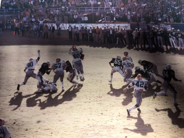 Georgia Bulldogs Football 1982 Sugar Falling from the Sky photo- Herschel Walker