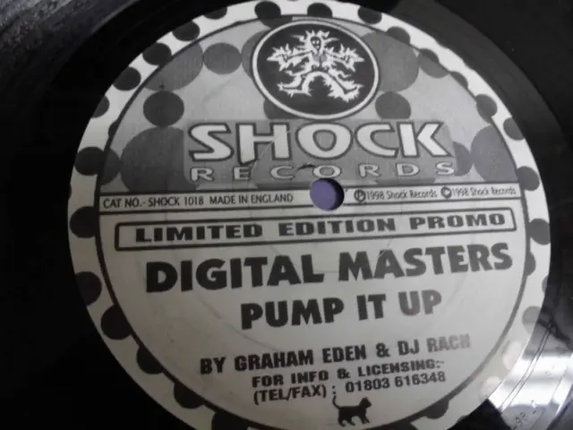Digital Masters Pump It Up 3161 Single Sided