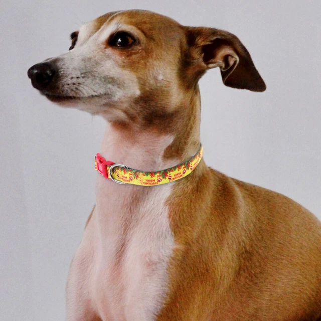 Stilvolles Hundehalsband, bequemes Hundehalsband, Welpenhalsdekoration,