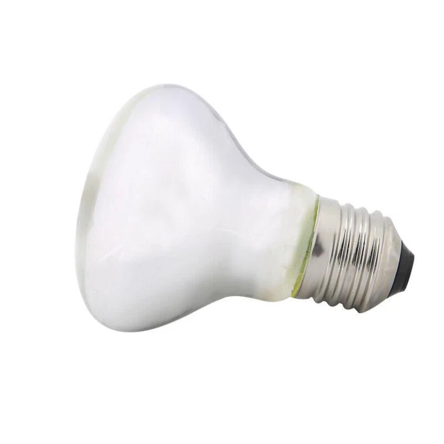 50W Reptile Night Heat Light Spot Lamp for Tortoise Basking