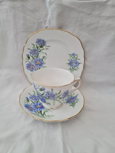 Vintage Royal Vale blue Cornflower bone china teacup Saucer Plate trio