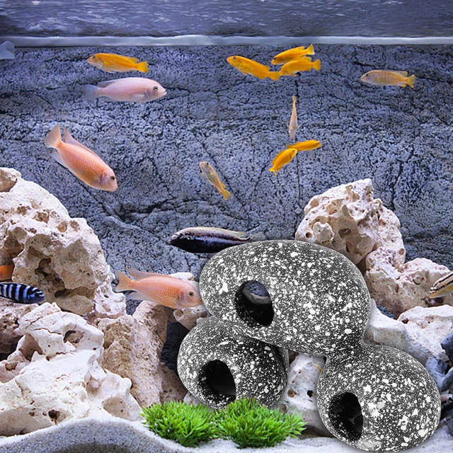 Roches Flottantes Pour Aquarium - Lot De 6 Pierres Ponce Naturelles, Diamètre 4-5 Cm, Décoration Paysage Aquatique