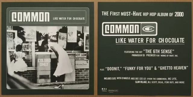 COMMON Rare 2000 Set of 2 DOUBLE SIDED PROMO POSTER FLAT for Like Water CD MINT