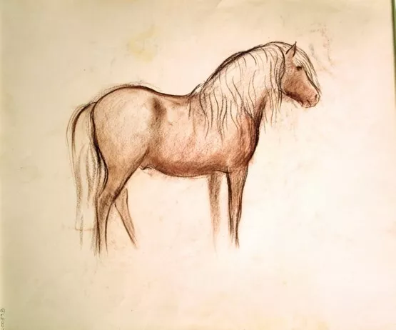 #1 Maureen Love Original Sketches Wrangler Pony and 4 Views of Ponies