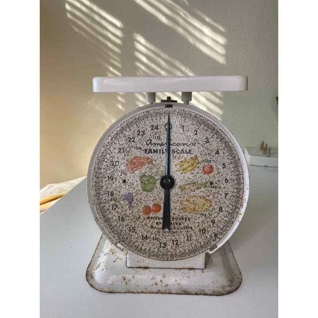 Vintage AMERICAN FAMILY White Metal Scale~Rusted Kitchen Family Scale