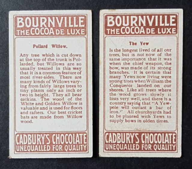 Two Cadbury's Bournville trade cards - "British Trees" series, numbered 2 & 12.