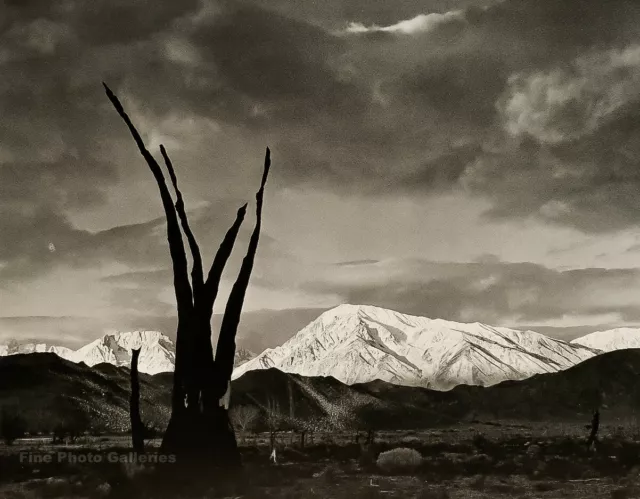 1948/72 Vintage ANSEL ADAMS Sunrise Mount Tom Sierra Landscape Photo Art 11X14