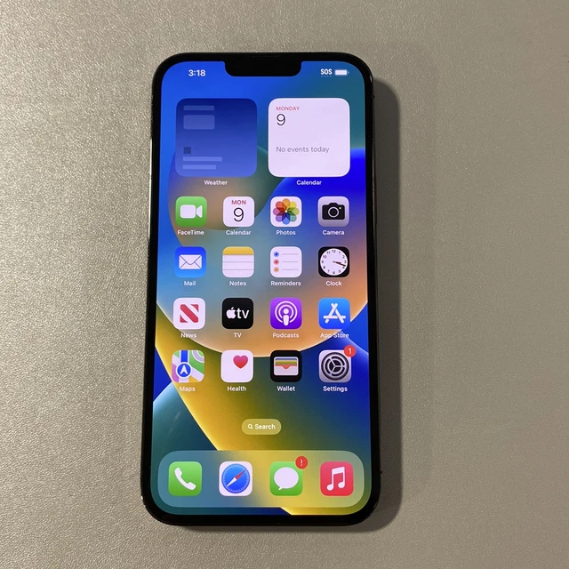 APPLE IPHONE 13 Pro Max 256GB Gray (Unlocked) (Read Description