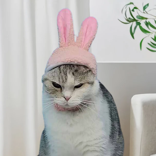 DOG HAT HEADGEAR Rabbit Ears Cat Hat for Pets Kitten Headgear Cosplay ...