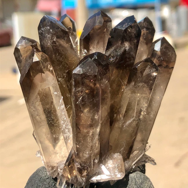239g    New Find black Phantom Quartz Crystal Cluster Mineral Specimen Healing