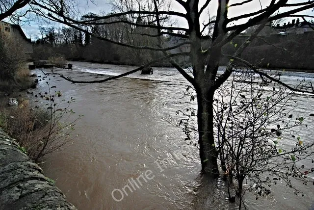 Photo 6x4 Horseshoe Weir, Ludlow The River Teme at full flow after heavy  c2009