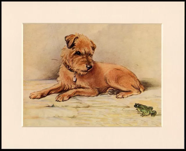 Border Terrier And Small Green Frog Charming Dog Print Mounted Ready To Frame