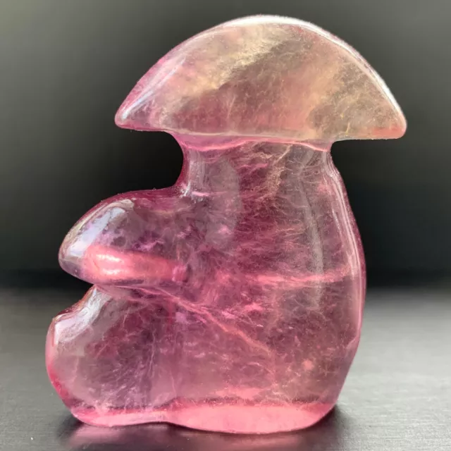 155g Natural Fluorite Mushroom Quartz Crystal Mushroom tree Reiki Healing Gem