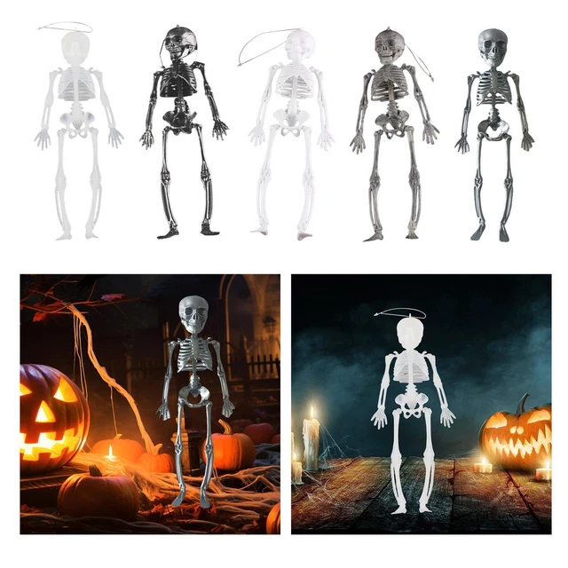 Squelette pour promo halloween