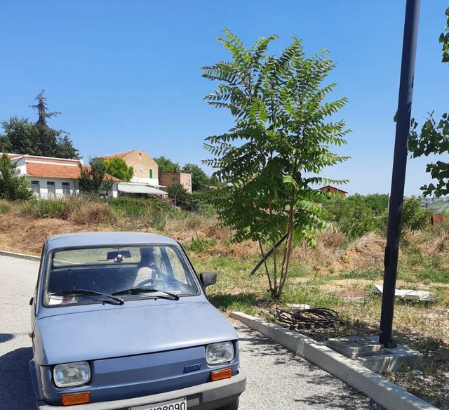 auto usato privato benzina