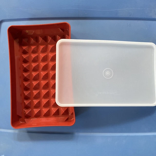 VINTAGE TUPPERWARE PAPRIKA Hot Dog Deli Bacon Keeper Container & Lid