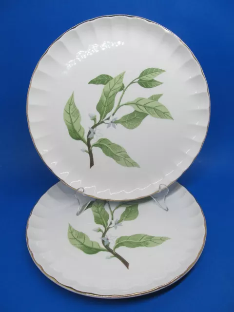 WS George B8760 Green Valley Bolero Orange Blossom Set Of 2  10" Dinner Plates