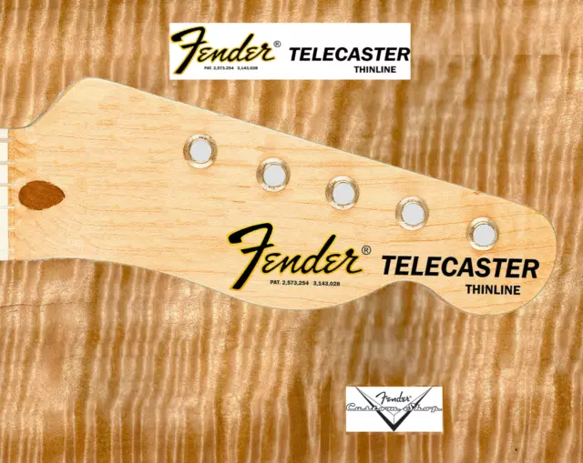 1 pcs Decalcomania Decal tipo Fender Telecaster Thinline Chitarra Guitar Black