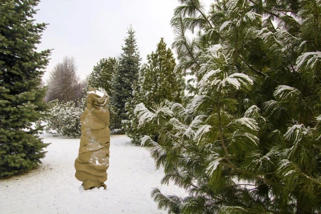 Gardissimo 461533 Jute-Schutzgewebe Natur (100 x 300 cm) (Winterschutz)