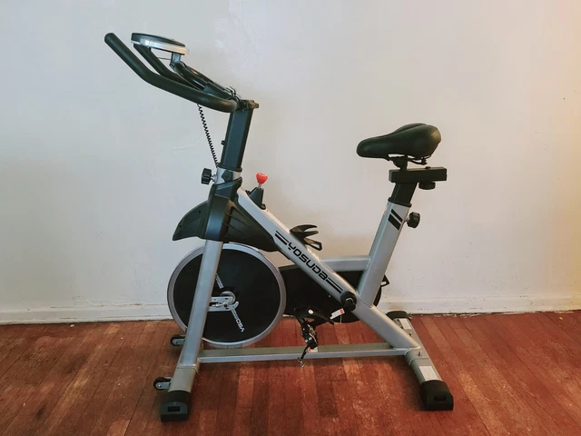 YOSUDA Indoor Cycling Bike Stationary Bike with Drink Holder & IPAD Mount 