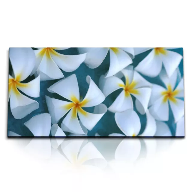 Kunstdruck Bilder 120x60cm Weiße Plumeria Blume Blüten Kunstvoll