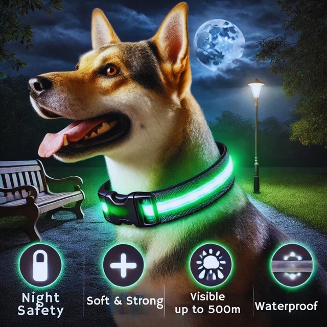 How to Charge Led Dog Collar: Easy Steps for Bright Safety