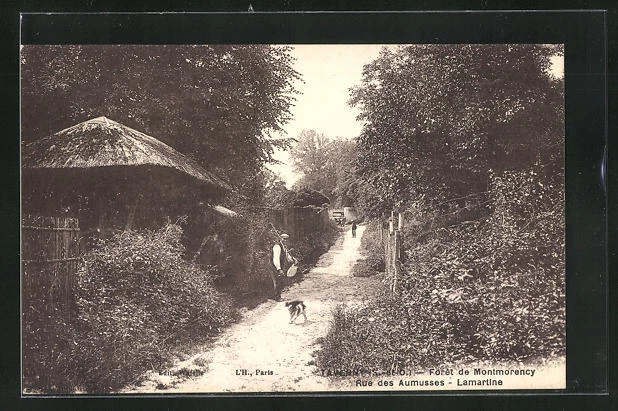 CPA Taverny, Foret de Montmorency, Rue des Aumusses -Lamartine