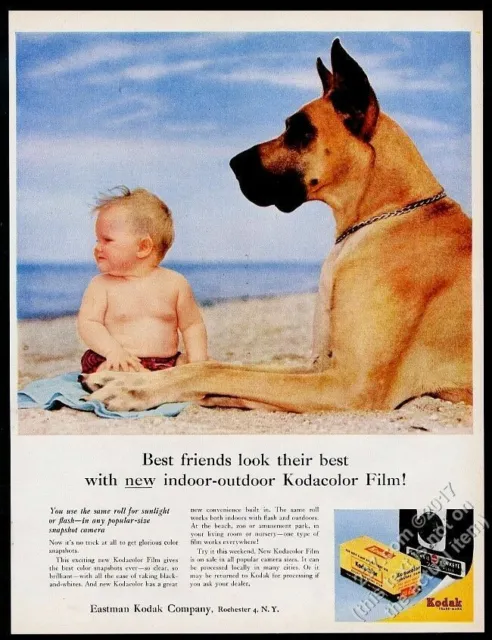 1956 Great Dane photo and baby at beach Kodak Kodacolor film vintage print ad