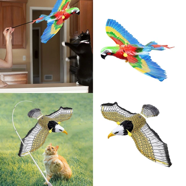 Simulation Bird Interactive Cat Toy Accessoires pour chat Funny Cat Toys pour