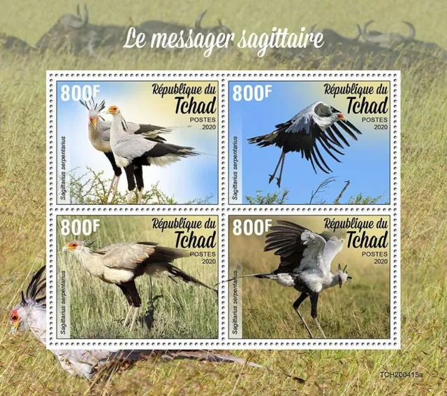 SECRETARY BIRDS of Prey 4-Value MNH Bird/Birds Stamp Sheet #396 (2020 Chad)