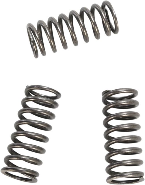 EBC CSK Clutch Spring Kit CSK218