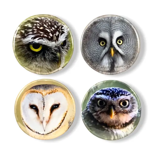 Owl Set of 4 - 2.25 Inch Magnets for Fridge Whiteboard Office Kitchen Magnet