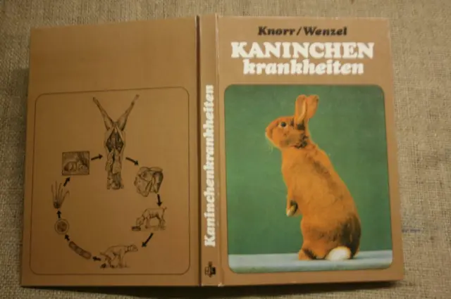 Fachbuch Kaninchenkrankheiten Kaninchenzucht Hasen Hygiene Züchter DDR 1983
