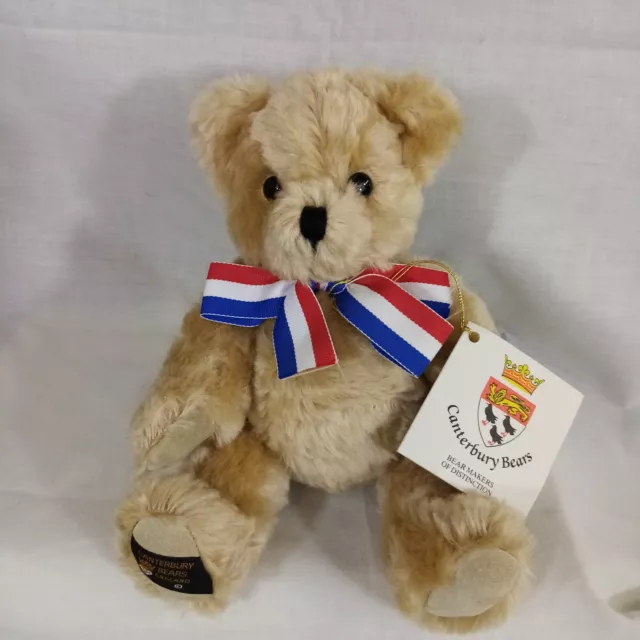 Canterbury Bears WINSTON Collectable Teddy Bear Moveable Joints 25cm Tag & Label