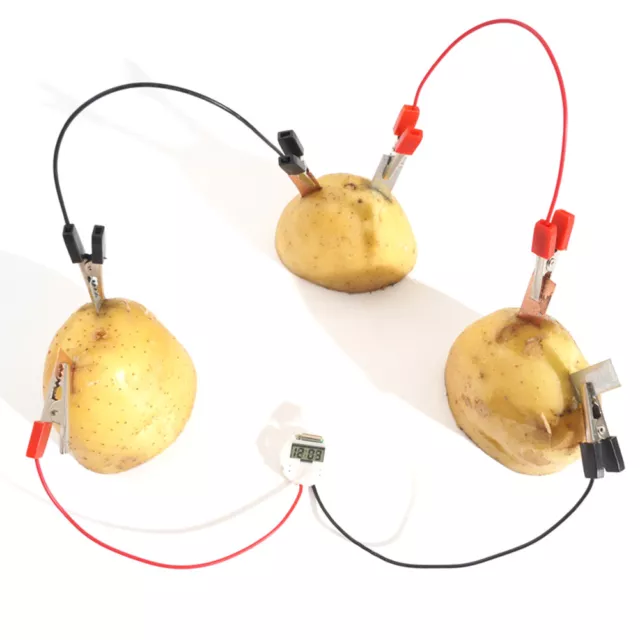 Uk_ Qa_ Diy Kartoffelobst Power Bioenergie Licht Diode Uhr Kit Experime