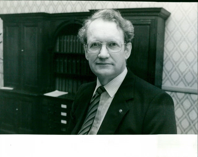 David Butler - Vintage Photograph 4706902