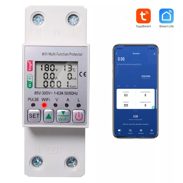 Intelligent Smart Meter Thermometer with Safety Features and Remote Access