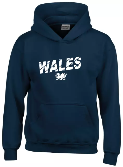 Wales Rugby Nations 6 Hoodie Kids Text & Lion