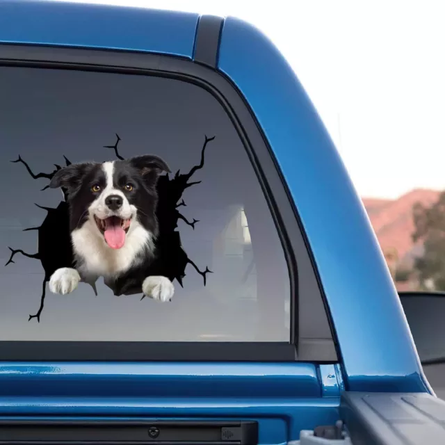 Border Collie Stickers For Cars Car Decal Border Collie Funny Face Die Cut Decal