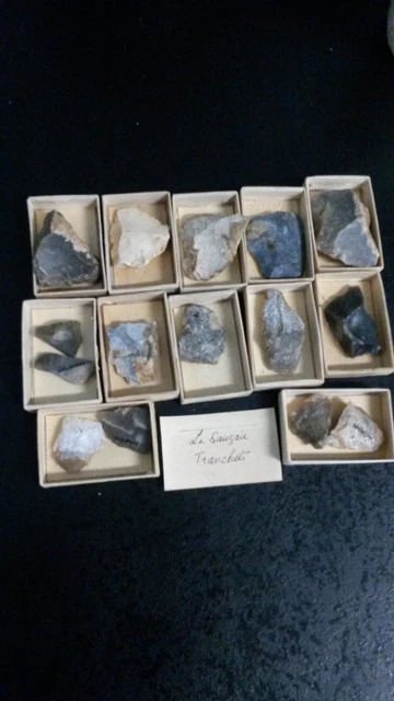 Lotto Di 13 Selce Taglie Neolitico Poco Richardien Francia Collezione O1