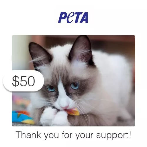 $50 Charitable Donation For: PETA's Vital Work to End Animal Suffering