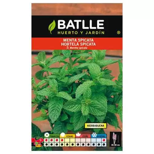 Semillas aromáticas de Battle - Menta Spicata/Hierbabuena (0,2g)